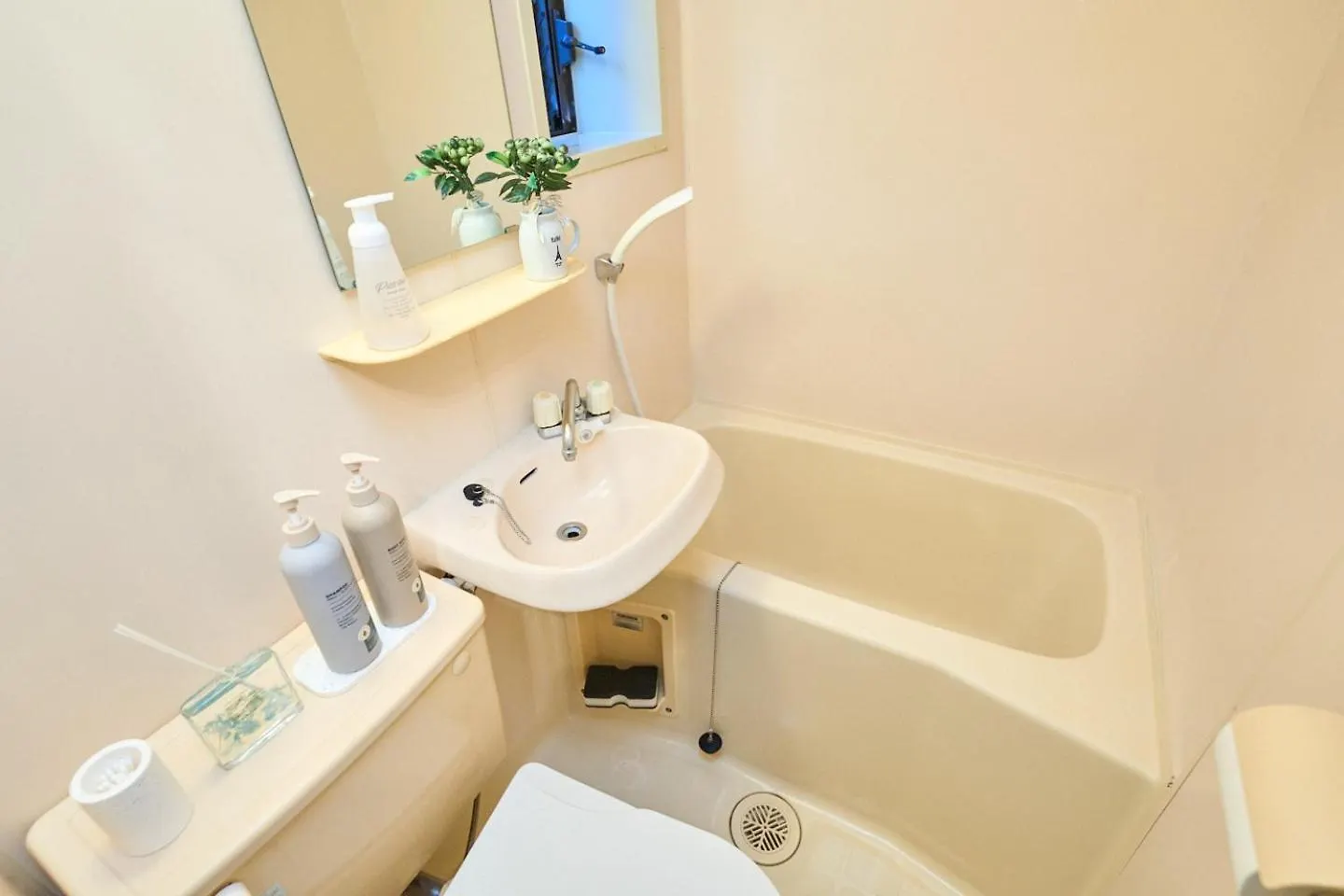 Apartment Van Gogh Tokyo Shinjyuku Shibuya New Open ! Japan